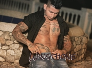 winsthone Spicy Blogs