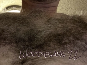 woodiesays_22 Spicy Blogs