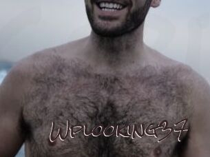 Wplooking37