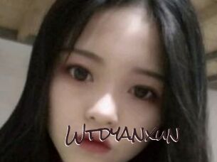 Wtdyanxun