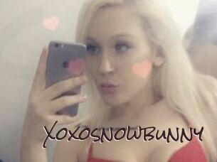 Xoxosnowbunny