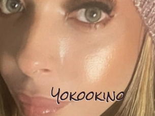 yokookino Spicy Blogs