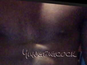 Yungbigcock