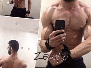 Zeus23