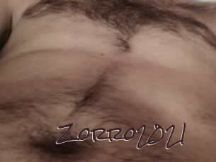 Zorro2021