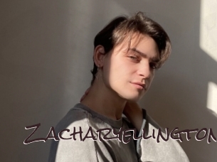 zacharyellington Spicy Blogs