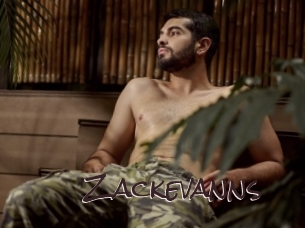 zackevanns Spicy Blogs