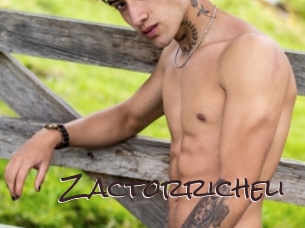 zactorricheli Spicy Blogs