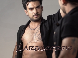 zarekscorpio Spicy Blogs