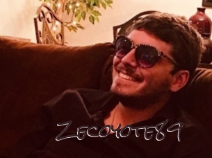 zecoyote89 Spicy Blogs