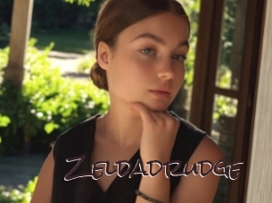 Zeldadrudge