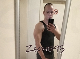 Zsomb95